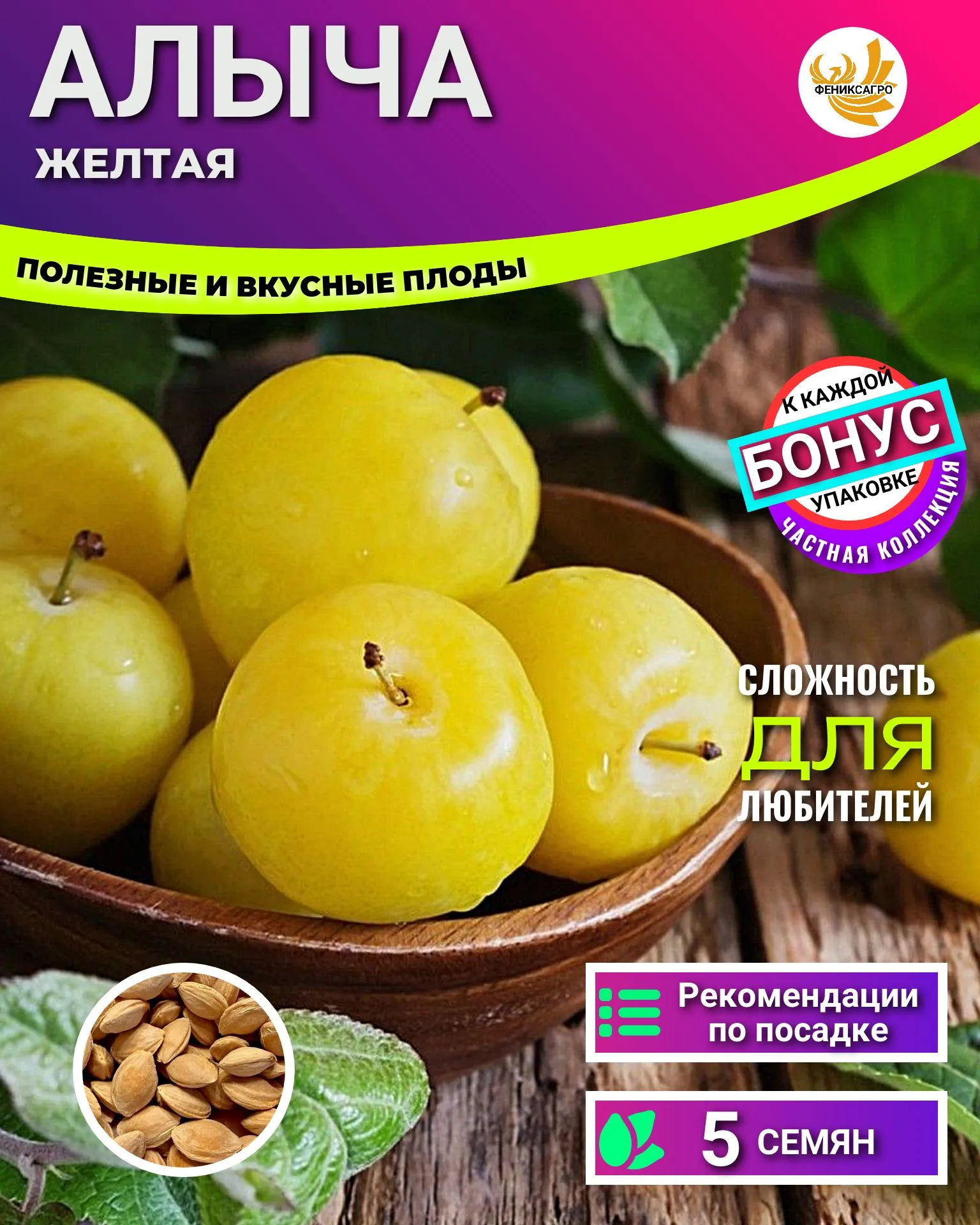 Spa ProBrush